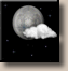 Wednesday Night: Mostly Clear